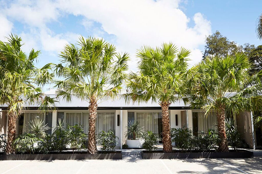 Palm tree lined entrance to The Bower Suites, The Bower Byron Bay