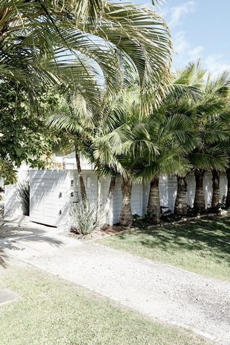 Entrance to The Chalet lined with palm trees, Byron Beach Abodes