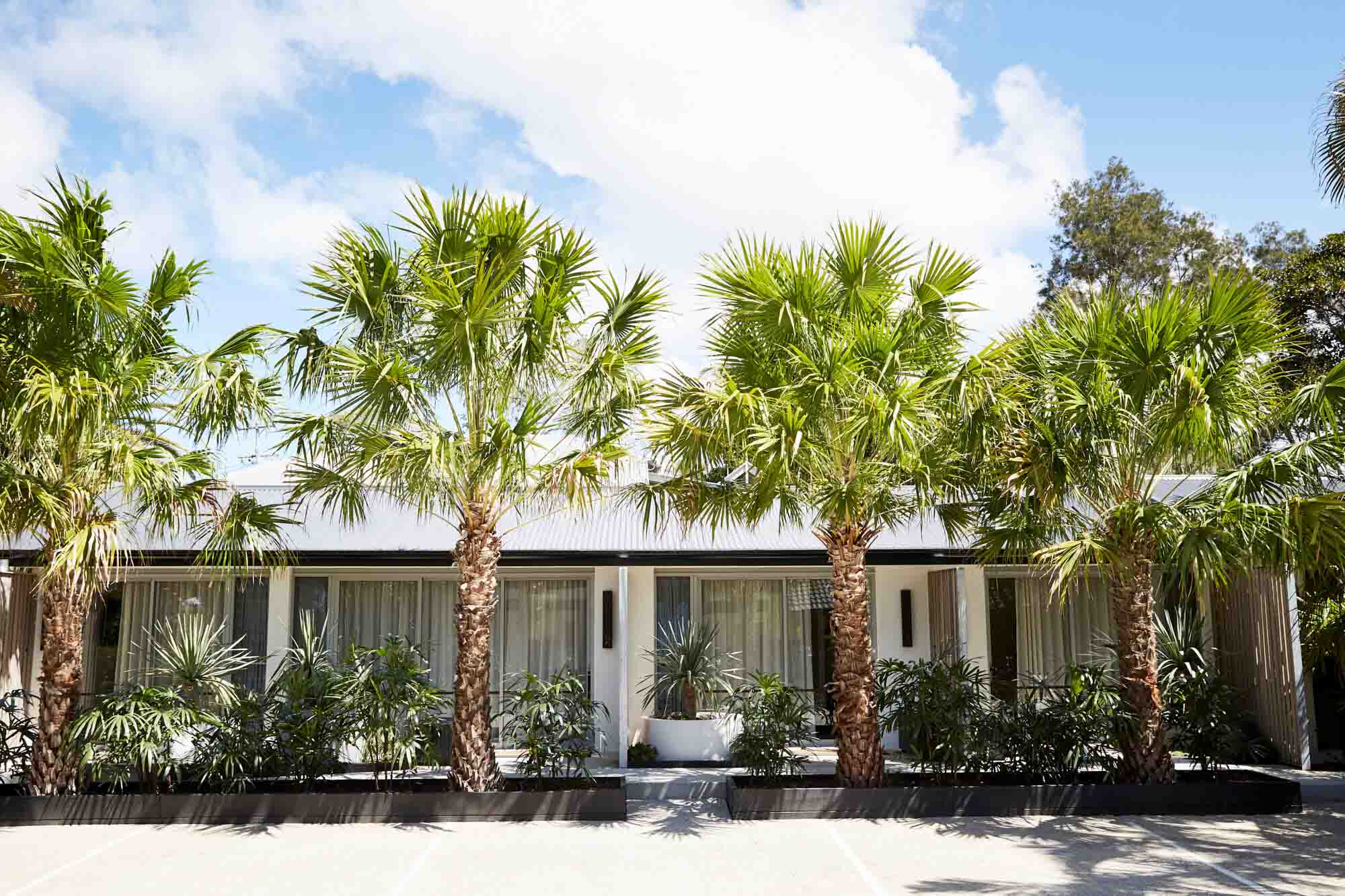 Tall palm trees lining the entrance to the Bower Suites at The Bower Byron Bay boutique hotel
