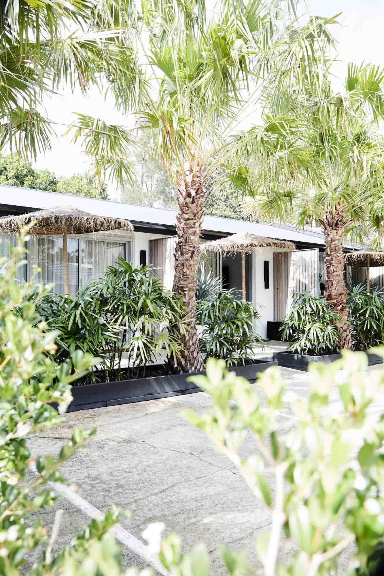 Tall palm trees at the private entrances to the Bower Suites, The Bower Byron Bay hotel