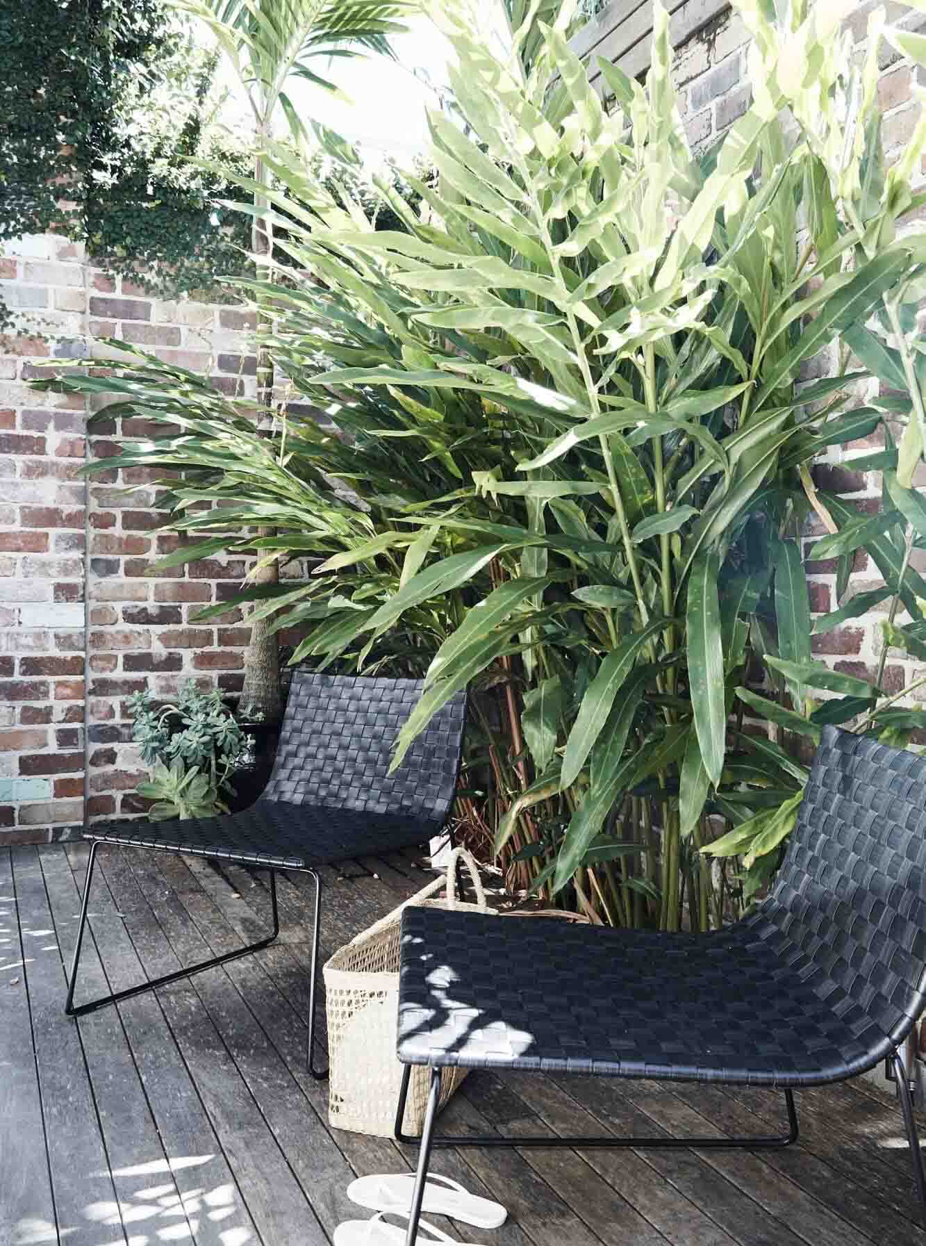 Courtyard at The Chapel, Byron Beach Abodes with low-lying black chairs, tall tropical plants and recycled brick wall